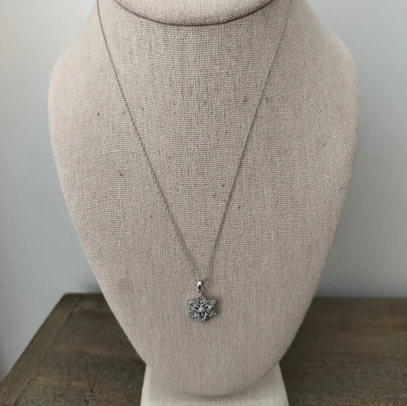 10K Gold White Necklace W/10K White Gold Pendant